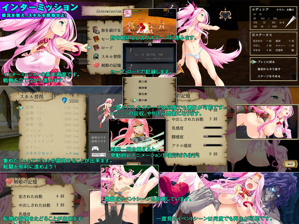 サンプル画像3:碧眼の剣姫ルディシア(フィニッシュドール) [d_190069]