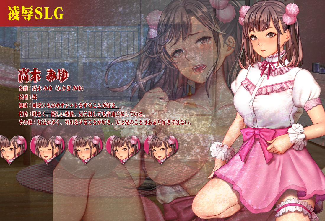 サンプル画像1:大好きな妹に彼氏が出来たので、ブチ切れた俺はビデオカメラを回しながら妹に超絶ハードなことをしてやった(アーモンドと巨牛乳) [d_192211]