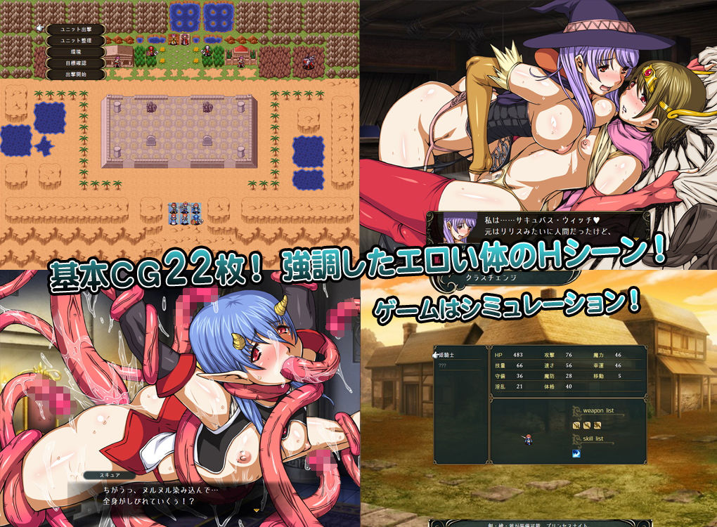 サンプル画像1:サキュバス姫騎士ユメル(サオヒメダルク) [d_198301]