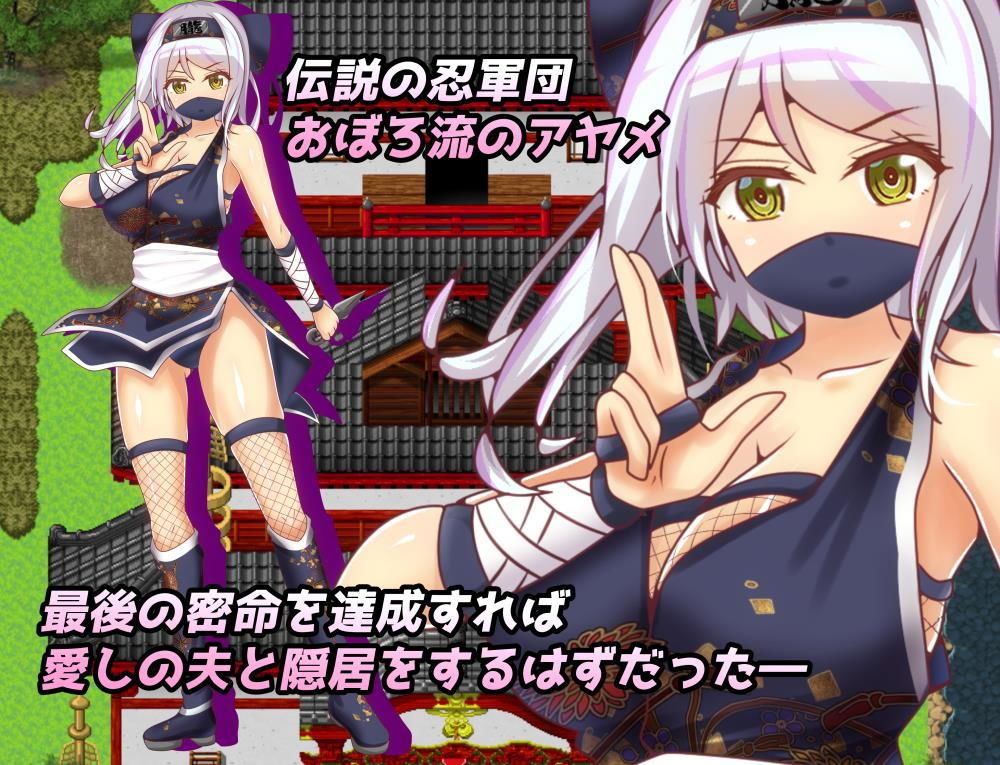 サンプル画像1:寝取られくノ一忍法帖(ちぇすとぼっくす・わんコイン) [d_198390]