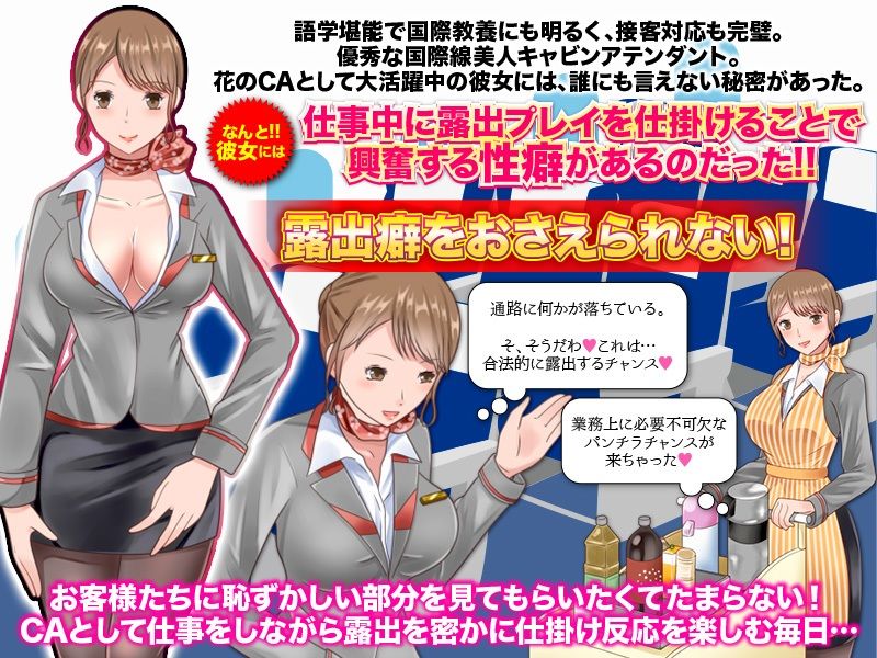 サンプル画像2:CAが内緒で楽しむ露出フライト フリーシナリオRPG(視萌妻喜) [d_211853]