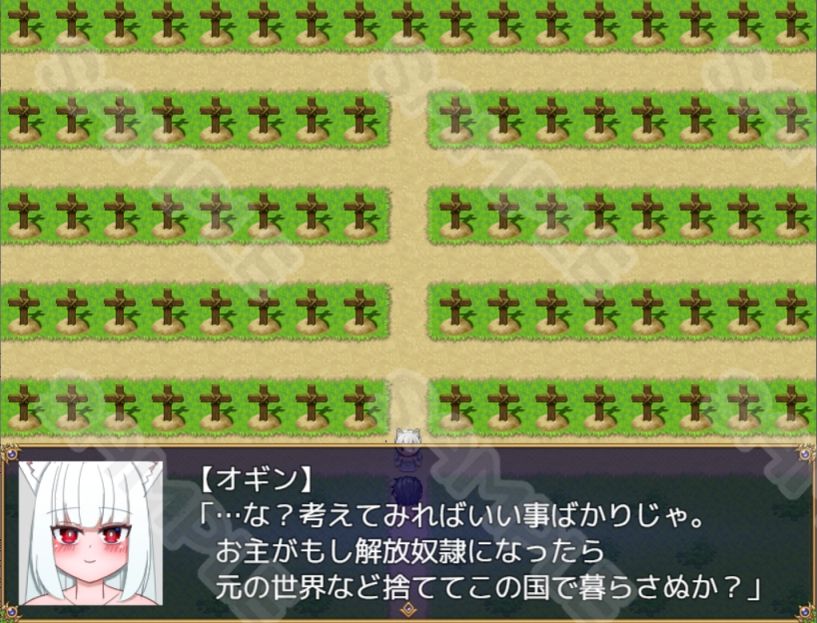 サキュバスの闘技場の画像10