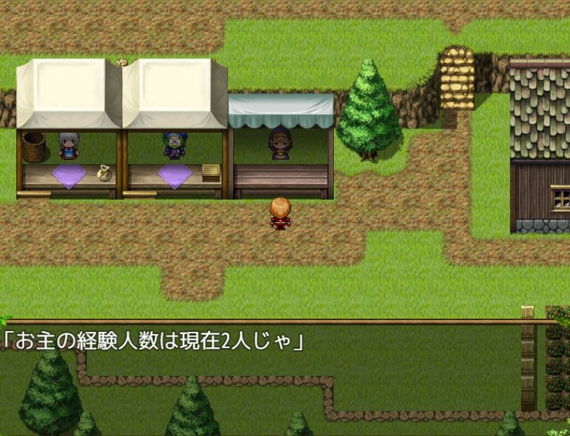 サンプル画像6:NPC姦〜すべての女NPCは俺のもの〜(おしぴんらっしゅ) [d_212703]