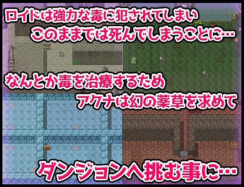 サンプル画像2:ハンターアクナ(苦悩の☆) [d_220741]