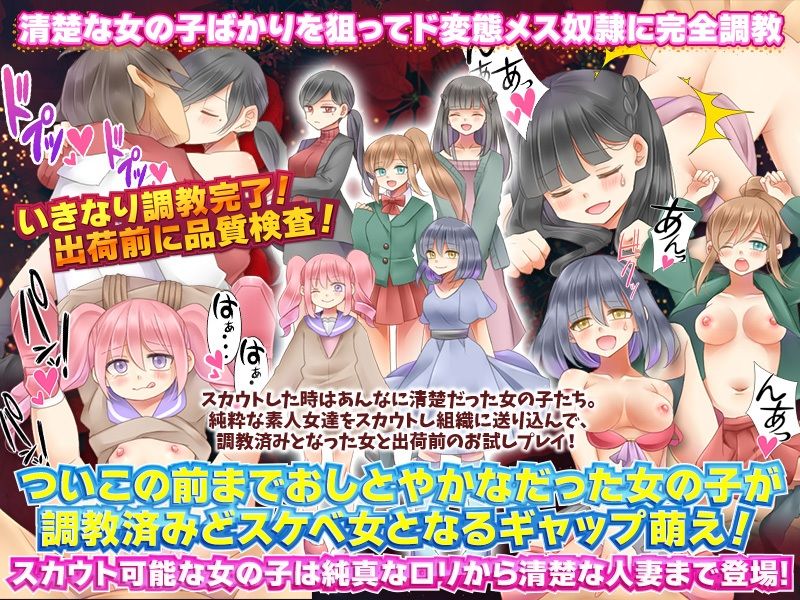 サンプル画像2:性奴●スカウトマン(MIZUO) [d_227353]