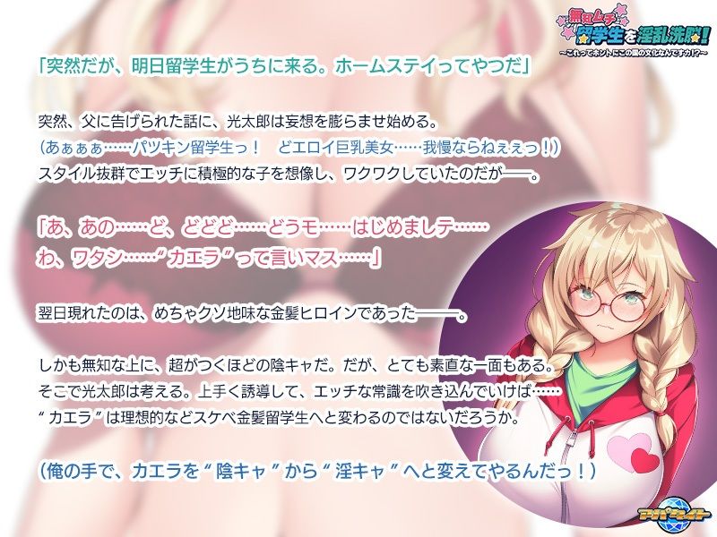 サンプル画像1:無知ムチ留学生を淫乱洗脳！〜これってホントにこの国の文化なんですカ！？〜(アパタイト) [d_227449]