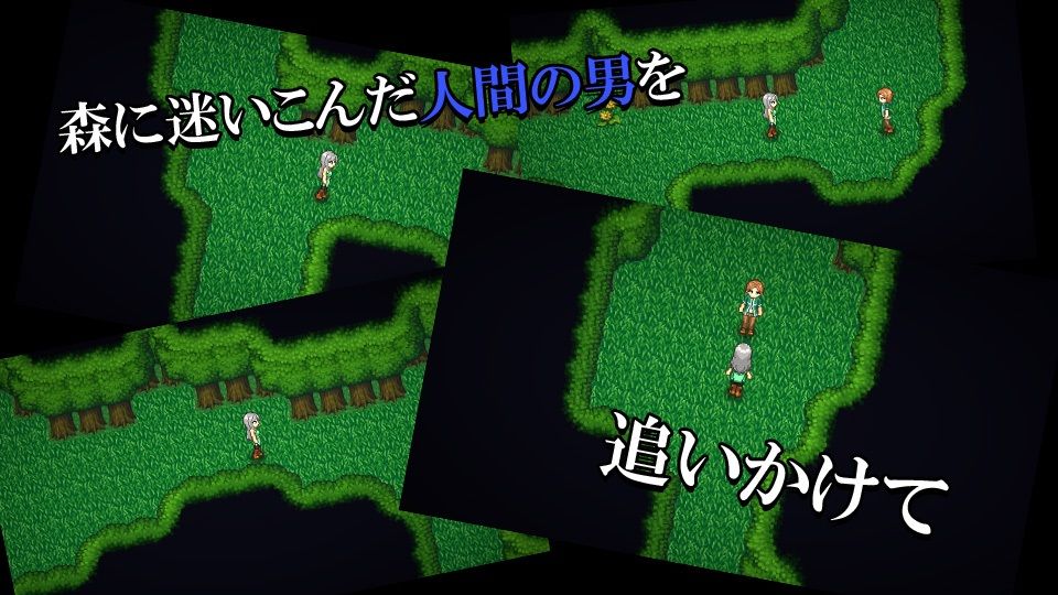 サンプル画像1:エルフが襲っちゃダメですか？(ココラトリ) [d_227698]