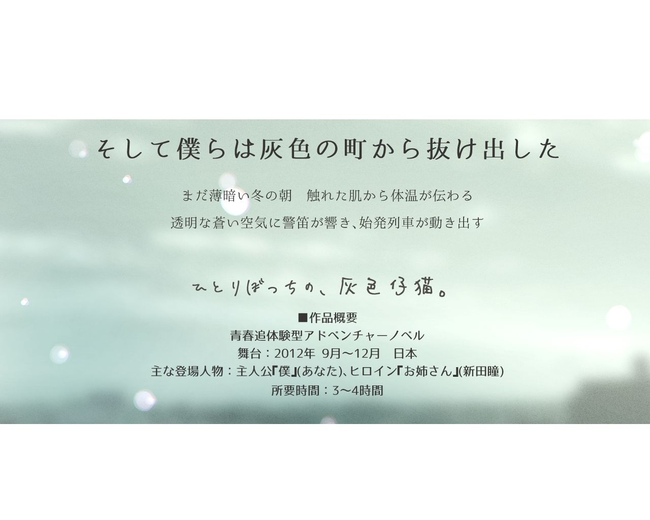 ひとりぼっちの、灰色仔猫。