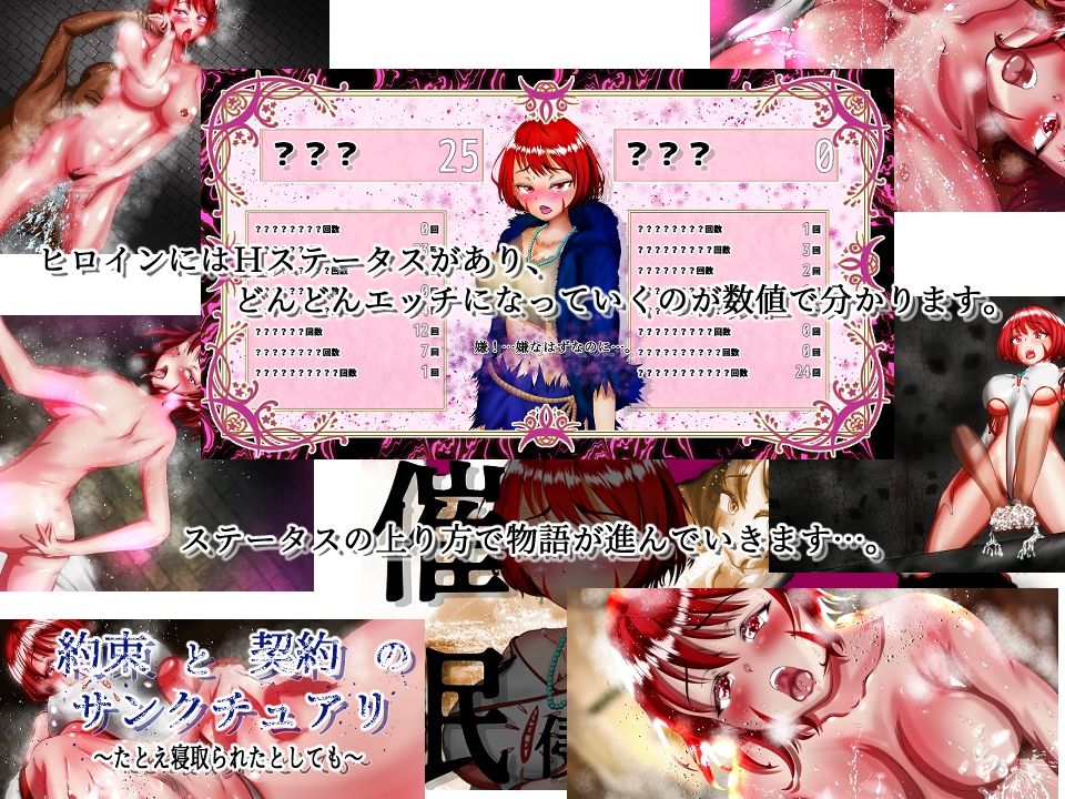 約束と契約のサンクチュアリ〜たとえ寝取られたとしても〜