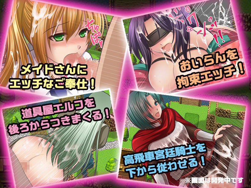 サンプル画像2:NPC姦〜俺と30人のNPCの女達〜(マテリアルカンパニー) [d_229698]