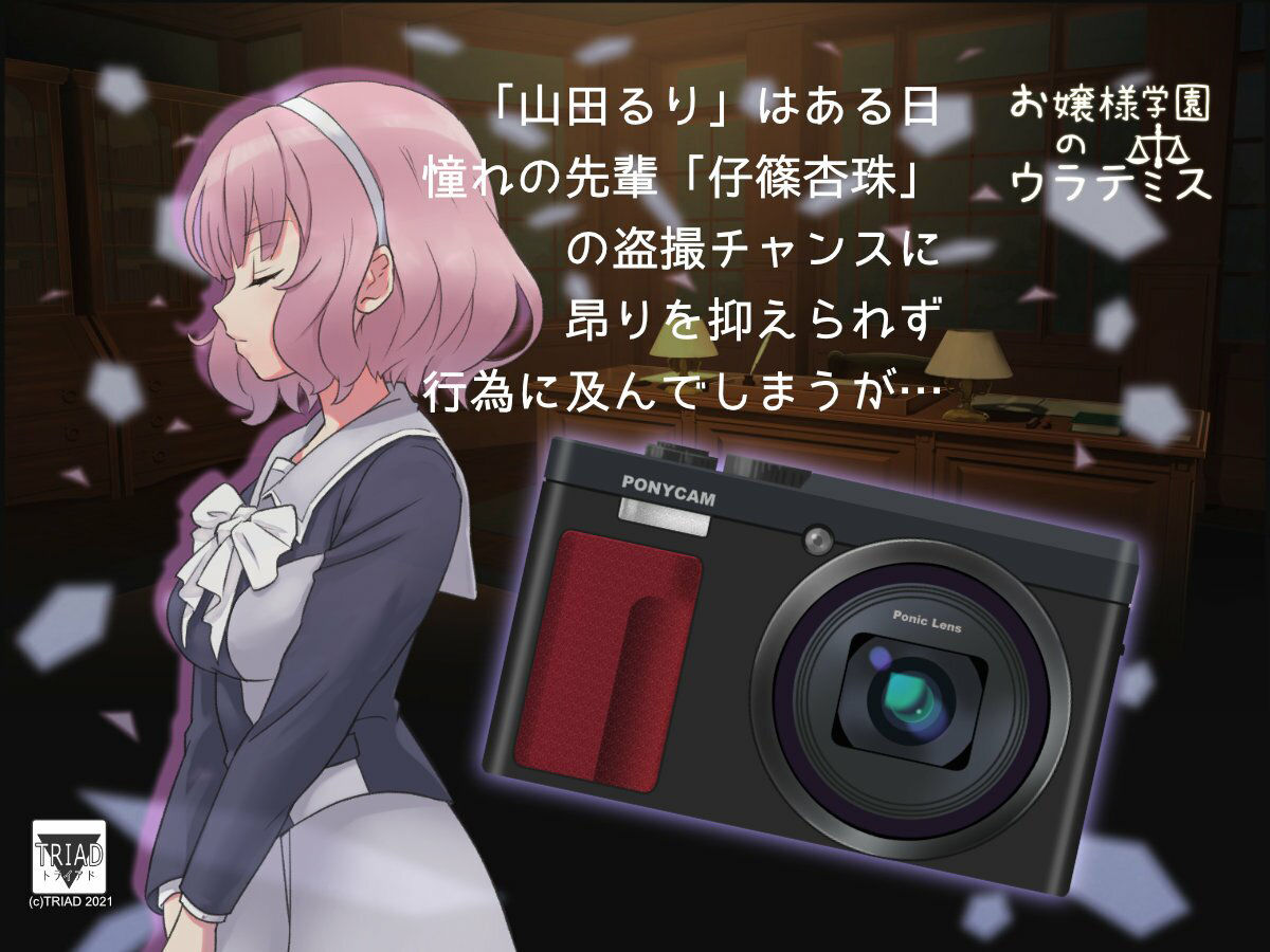 サンプル画像2:お嬢様学園のウラテミス(トライアド) [d_233393]