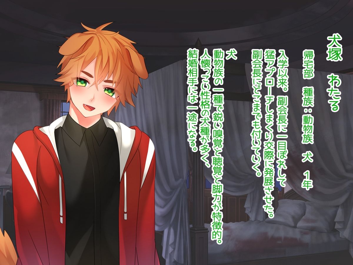 サンプル画像4:「噂」のコイバナシ(みるくせーき) [d_237051]