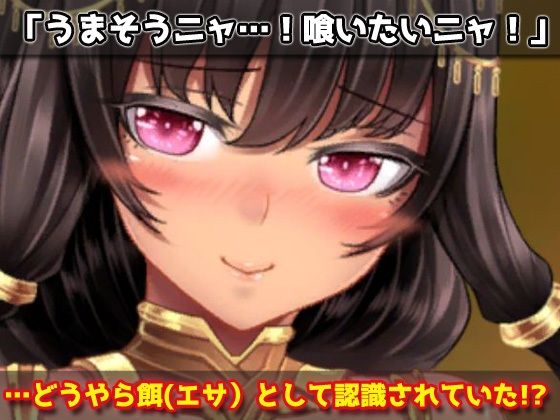 サンプル画像2:無知で強気なネコミミ娘を妊娠させる！〜オナニー用ミニゲーム(同人美少女ゲーム) [d_251711]