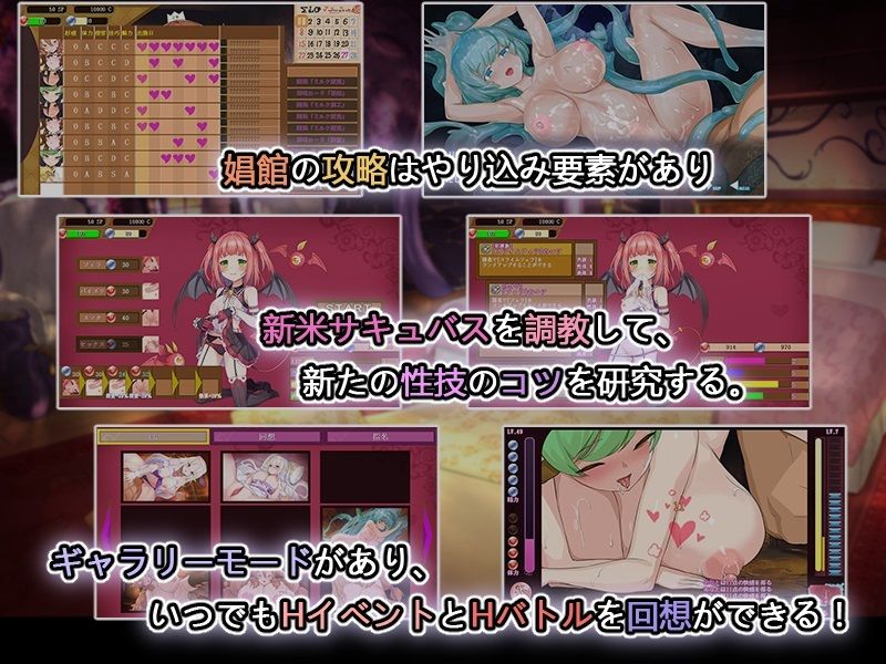 サンプル画像2:異世界娼館ロード【三種類言語統合版】(見影（全紅白子）（クルー）) [d_254457]