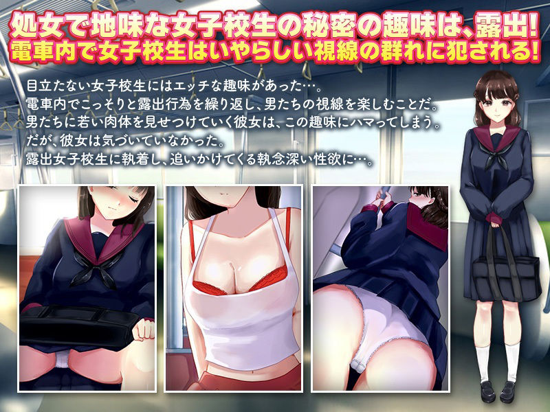 サンプル画像1:電車露出娘と盗撮ストーカー(殿方温泉) [d_258922]