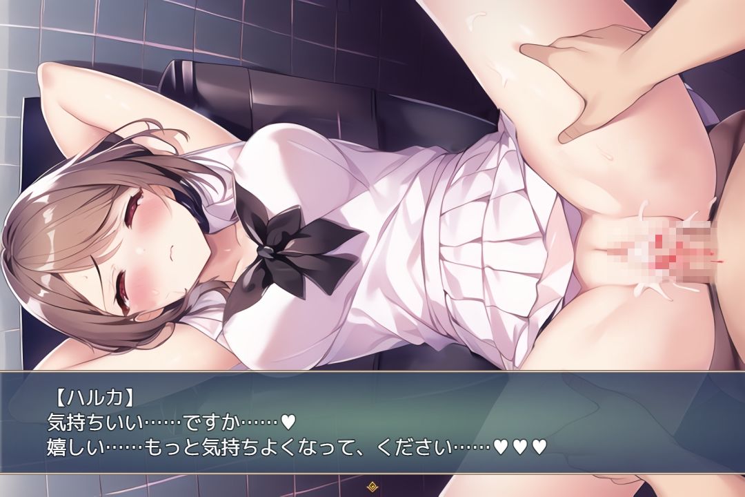 サンプル画像1:性交同意アプリ 〜少子化対策委員会を名乗って女の子とエッチしよう！〜(珠桜研究所) [d_260458]