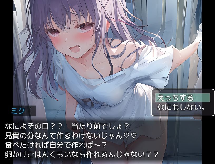 サンプル画像5:NPC姦〜姫とJKと妹を犯せ〜(ワンランク上の男) [d_263655]