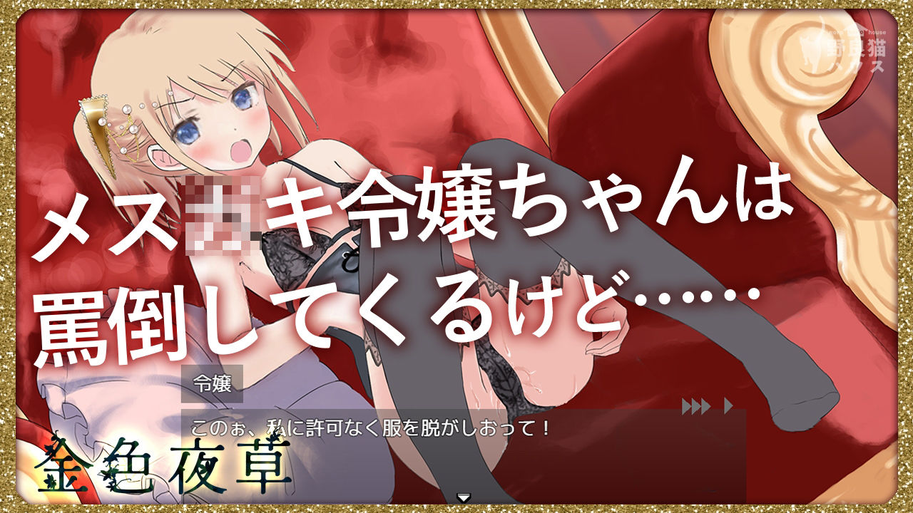 サンプル画像3:金色夜草(野良猫ハウス) [d_264802]