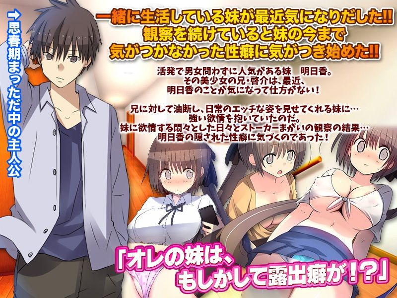 サンプル画像1:よし！妹の露出願望は秘密しておこう（汗）(REP！) [d_279754]