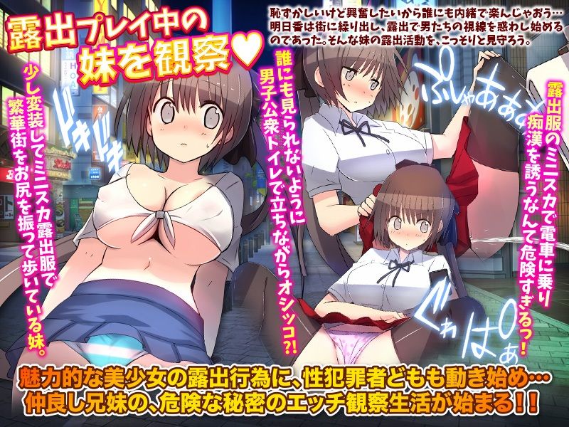 サンプル画像3:よし！妹の露出願望は秘密しておこう（汗）(REP！) [d_279754]