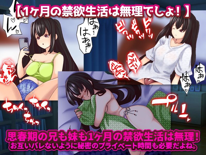 サンプル画像5:妹と1ヶ月の相部屋生活(殿方温泉) [d_283936]