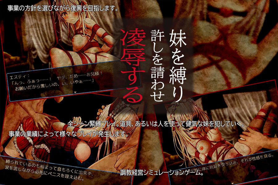 サンプル画像2:赤い紐と兄妹のパラフィリア(dark.ryona.x15) [d_287185]