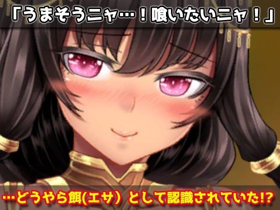 サンプル画像4:【アプリ2本セット！！】ネコミミ〜「強気なネコミミ娘を妊娠」編＆「露出調教」編〜大人の変態ゲーム(同人美少女ゲーム) [d_287527]