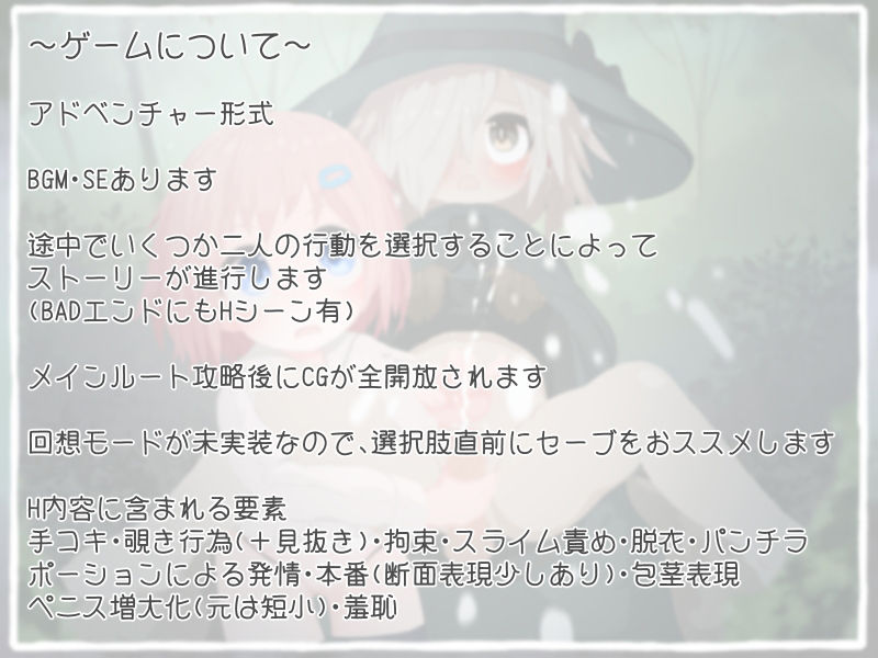 サンプル画像5:冒険者見習いのクエスト研修(らーすとちゅか) [d_291068]
