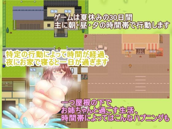 サンプル画像3:お姉ちゃんバケーション(プロジェクトT) [d_292876]