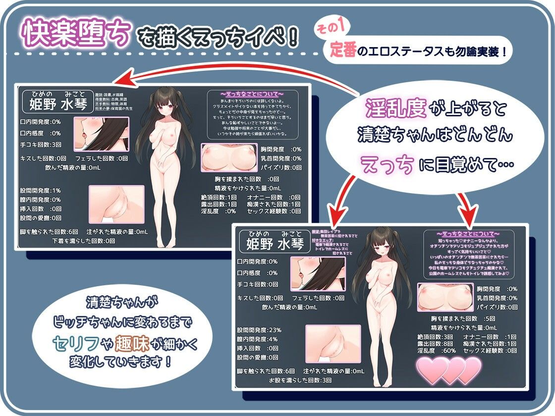 サンプル画像6:せいそ・ざ・びっち 〜清楚ちゃんのセクハラ売春性活〜(もきゅもきゅそふと) [d_294880]