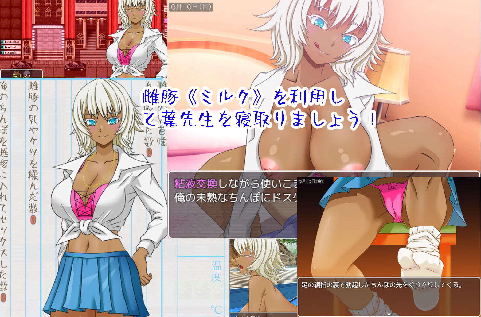 サンプル画像2:乙葉のネトラレ日記(ねとりんくNTR) [d_295172]