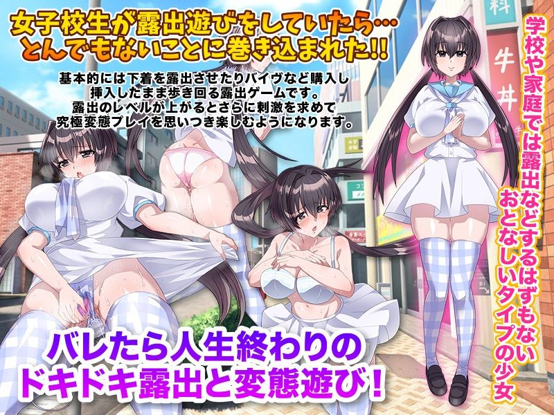 サンプル画像1:女子校生の露出あそびとその後始末(いわいじゅしい) [d_310785]