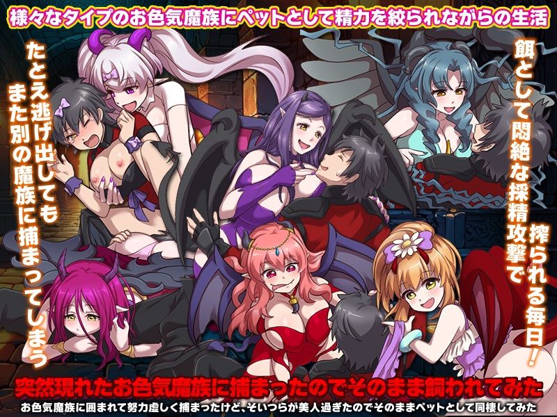 サンプル画像3:ダンジョンの第4層が発見！でもそこはお色気魔族の巣でした…(REP！) [d_323047]