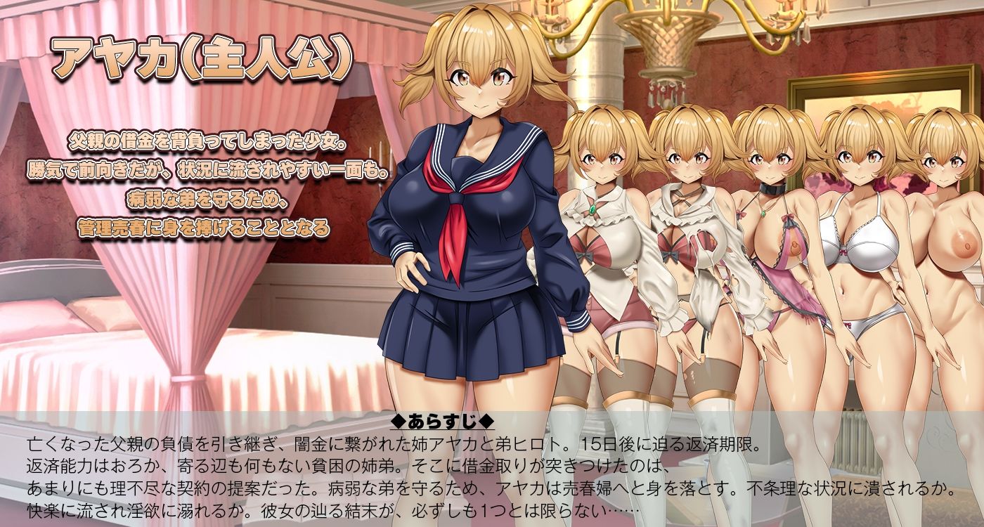 サンプル画像1:3K〜完全管理姦淫(シャルルハンター) [d_325211]