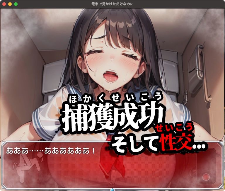 サンプル画像3:電車で見かけただけなのに【Mac版】(リリアムオーラタムン) [d_341843]