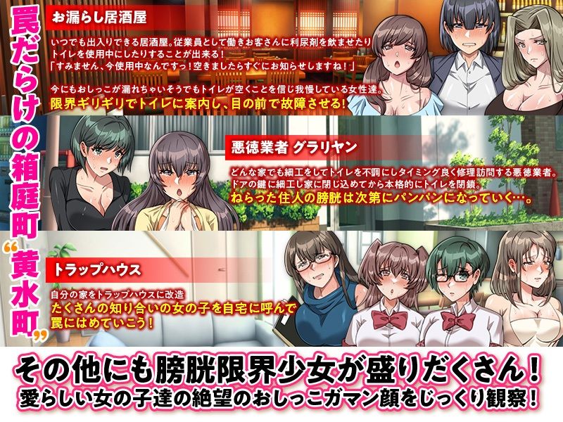 サンプル画像2:膀胱パンパン！お漏らし限界トラップ！(いわいじゅしい) [d_348639]