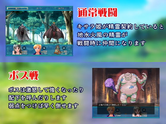 サンプル画像3:悪魔の王女が人間の王子に恋をする(リリカルリミテッド) [d_362693]