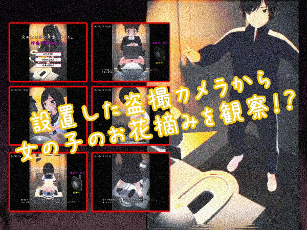 サンプル画像1:THE・トイレ盗撮(仮想現実少女) [d_363116]