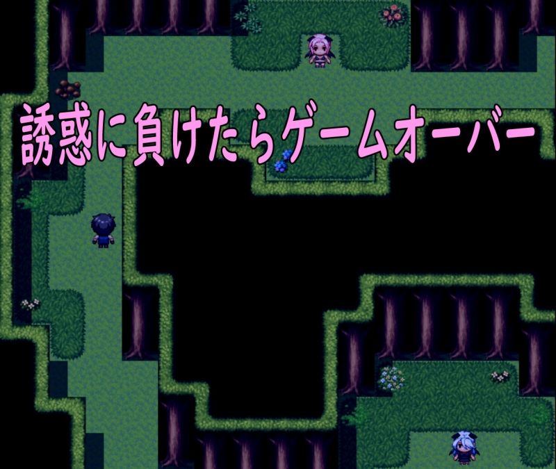 サンプル画像1:淫魔の森と破邪光石(ロートカイザー) [d_374020]