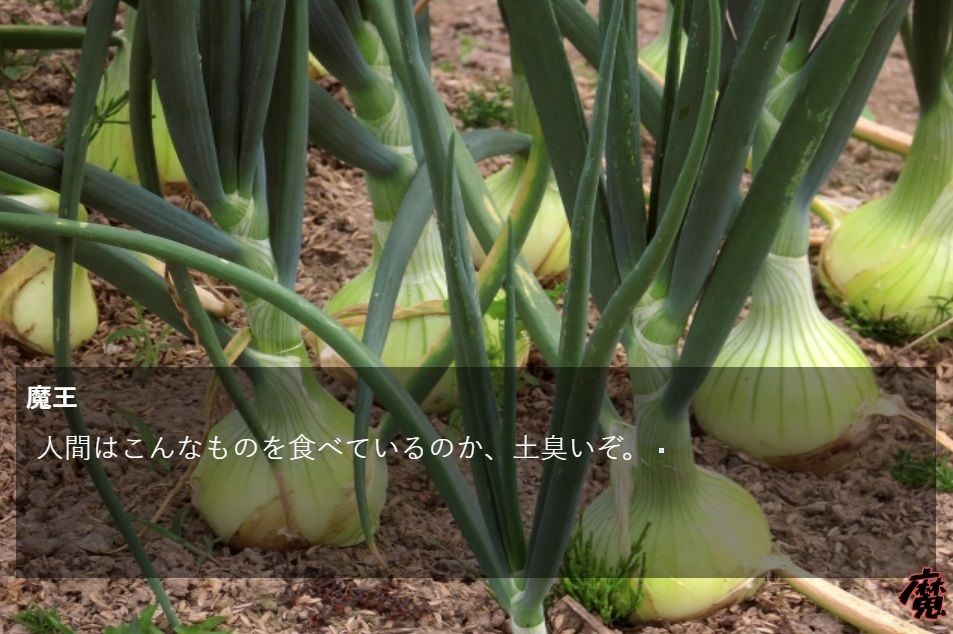 サンプル画像4:魔王サバイバル伝説(MIZUBLUE GAMES) [d_377435]