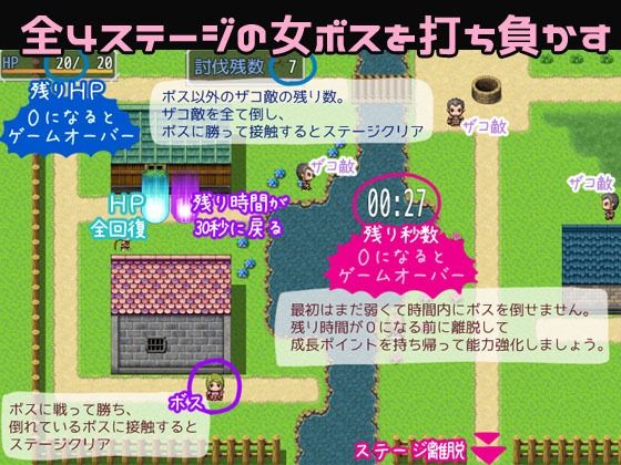 サンプル画像4:盗賊王の逆襲 〜強く気高い女たちの屈辱〜(エリクシル) [d_392382]