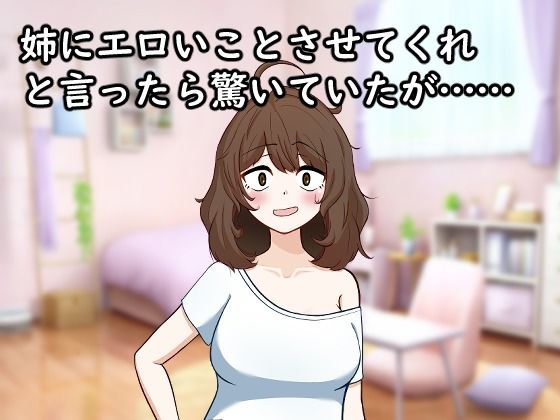 サンプル画像2:頼む、お姉ちゃん！！俺と〇ックスしてくれ！！(がめつきかんぱに〜) [d_414660]