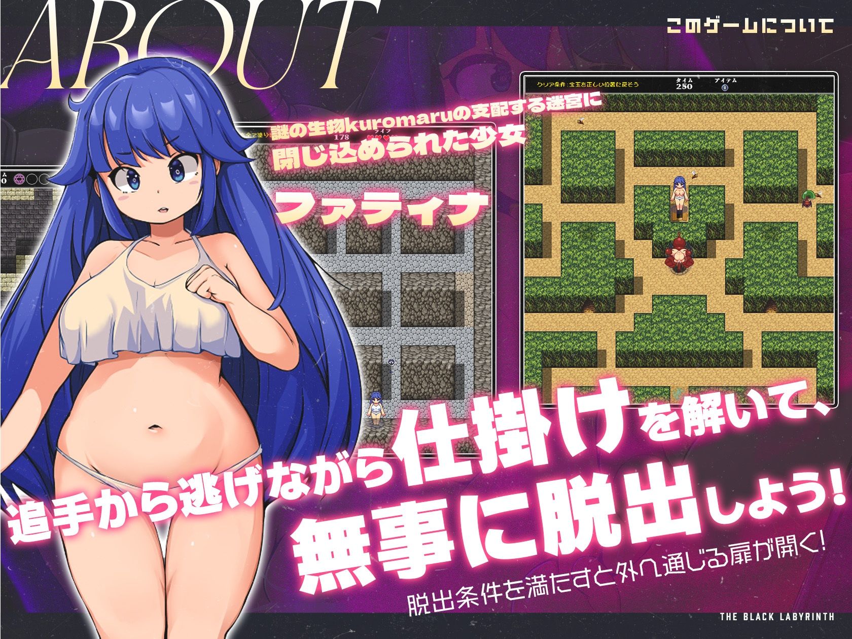 サンプル画像1:黒の迷宮(百舌鳥畑) [d_426994]