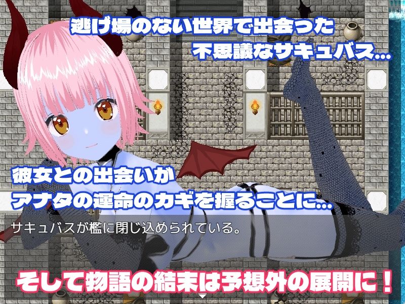 サンプル画像5:サキュバスナイトメア-DESIRE-(Animism) [d_428399]