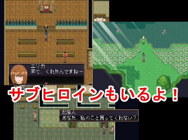 サンプル画像5:出会った街娘は肉便器(ノーモア★ココア) [d_440235]