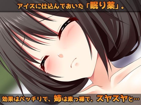 サンプル画像1:睡眠姦〜お姉ちゃんに「眠り薬」でエッチな事をする弟（ボク）〜オナニー用ミニゲーム(同人美少女ゲーム) [d_447354]
