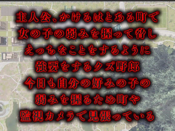 サンプル画像1:盗撮ハーレム(Hinano) [d_453291]