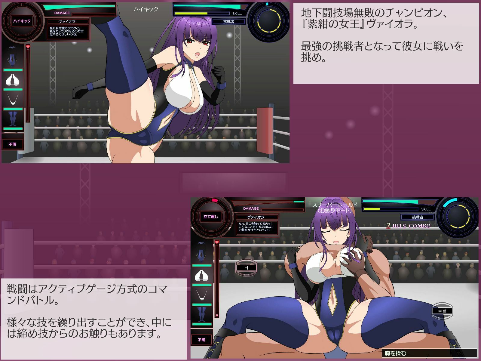 サンプル画像1:闘技女王ヴァイオラ(JSK工房) [d_460008]