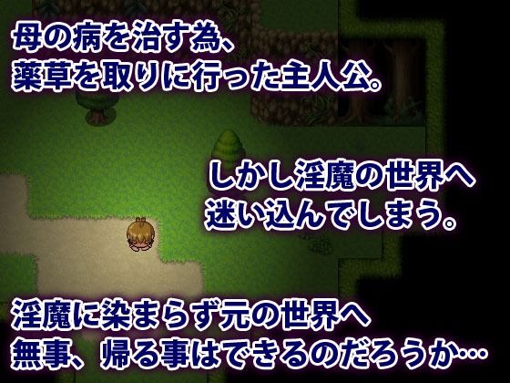 淫魔界に堕ちたボクの画像1