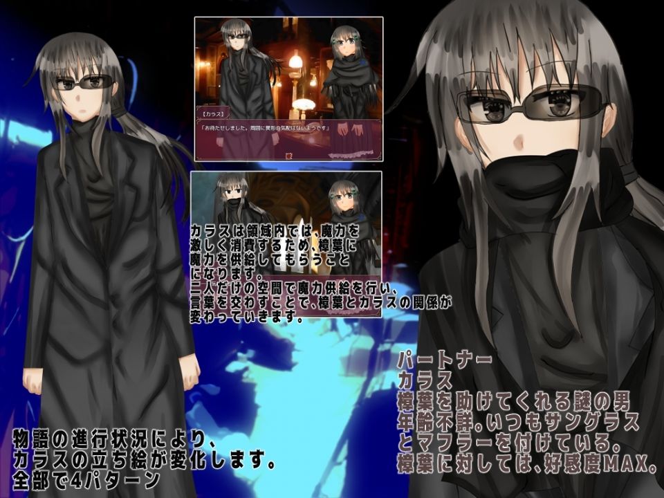 サンプル画像2:永遠の罪鴉(mystic night) [d_466397]